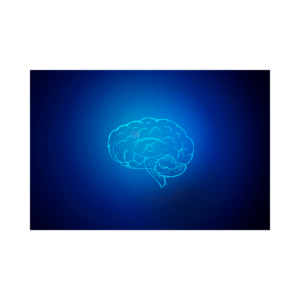 illustration of blue brain